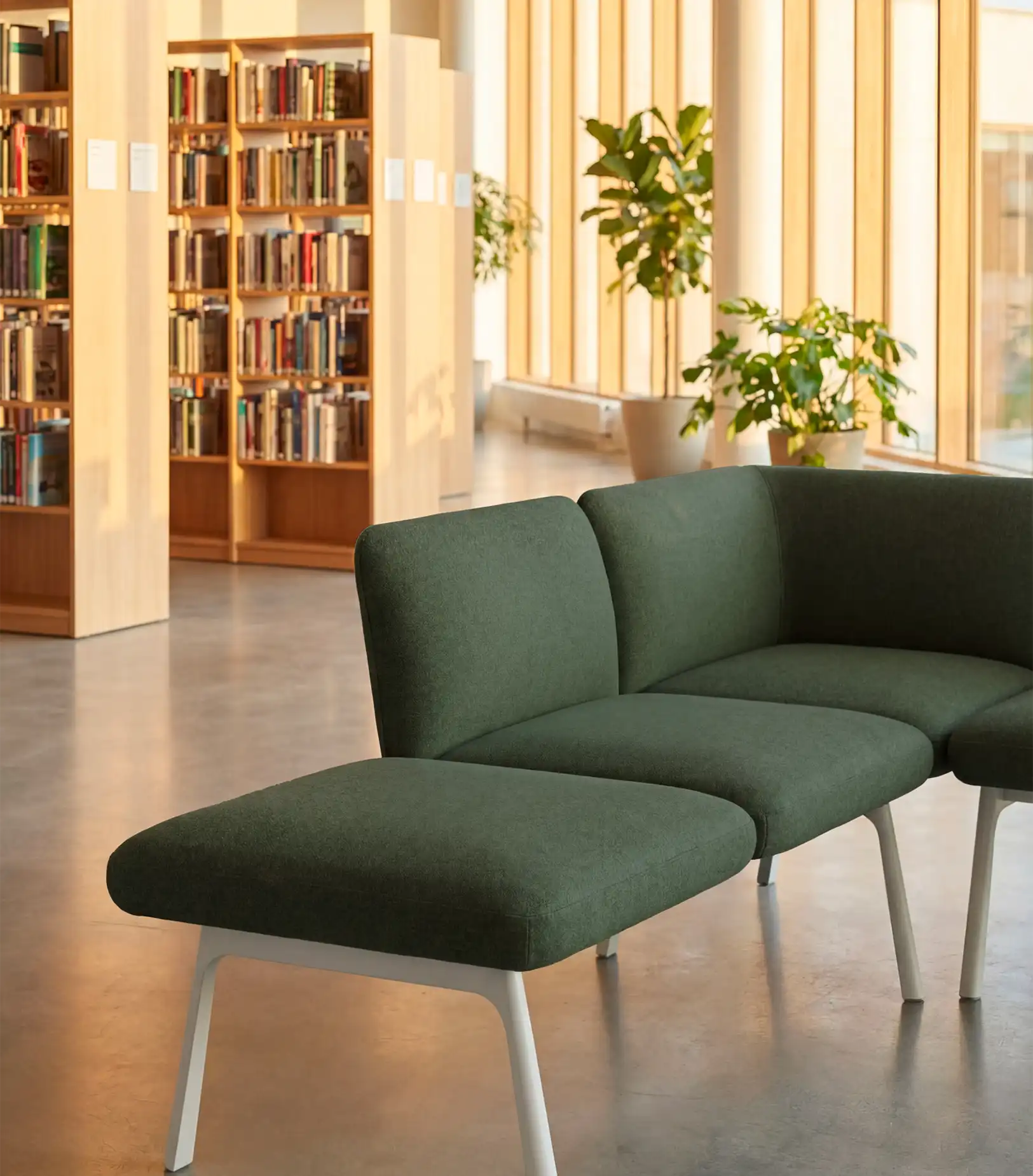 Immagine ambientata di un divano.